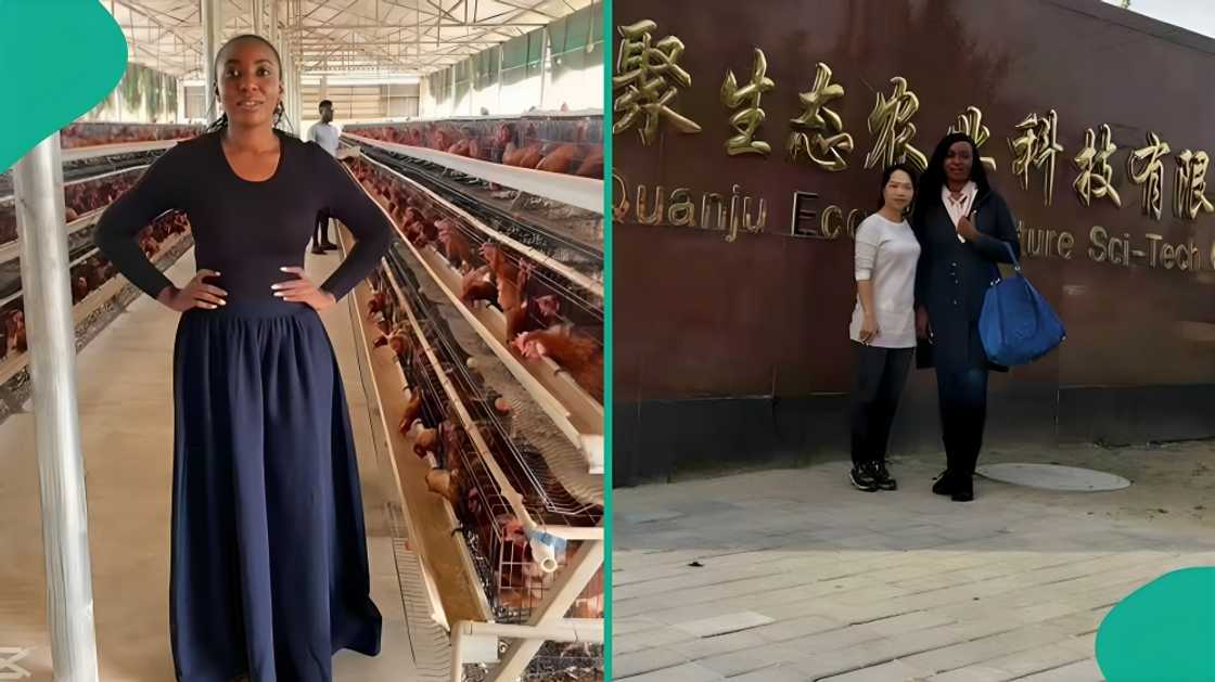 A Nigerian businesswoman shares what Chinese man told her concerning Nigeria's electricity problem A Nigerian businesswoman shares what Chinese man told her concerning Nigeria's electricity problem