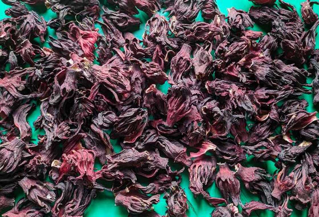 Ganyen Zobo Ganyen Zobo