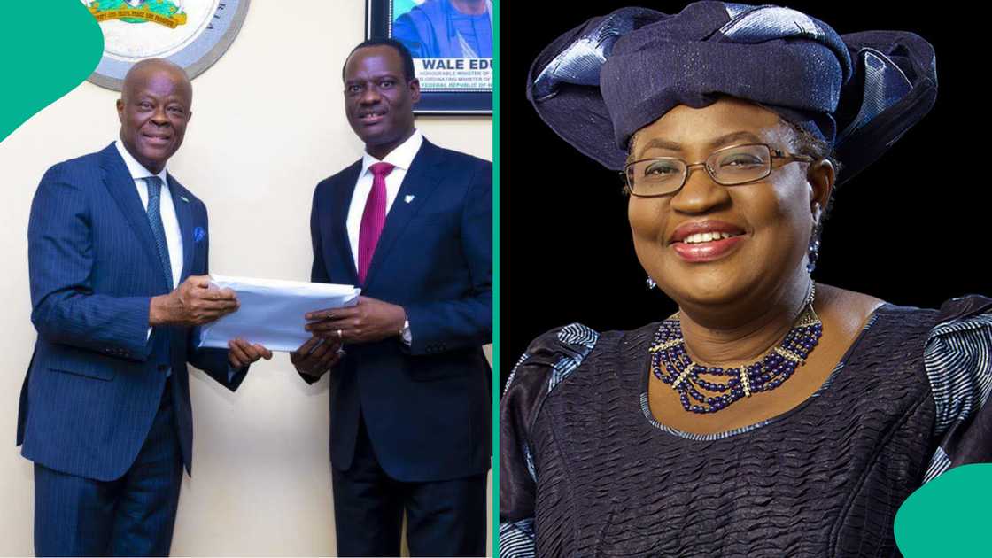 History, economics, and accounting studies drive Nigeria’s financial leadership today. History, economics, and accounting studies drive Nigeria’s financial leadership today.