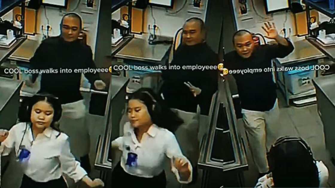 Cool boss walks into a Boss dancing Cool boss walks into a Boss dancing