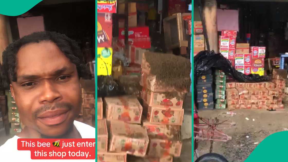 Man shares video showing shop taken over by bees. Man shares video showing shop taken over by bees.