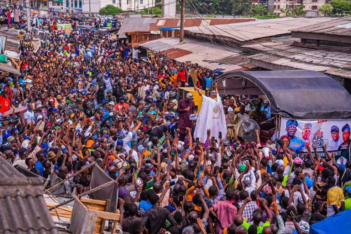 Bola Tinubu, 2023 presidency, APC, Kashim Shettima Bola Tinubu, 2023 presidency, APC, Kashim Shettima