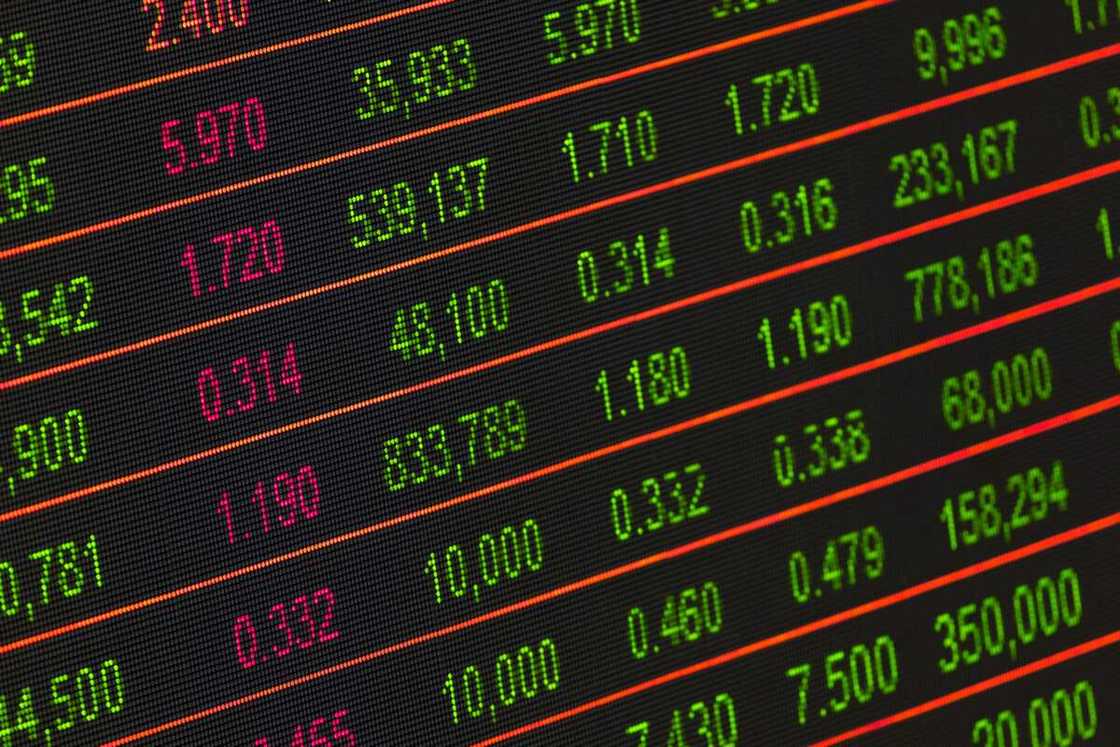 functions of the Nigerian stock exchange