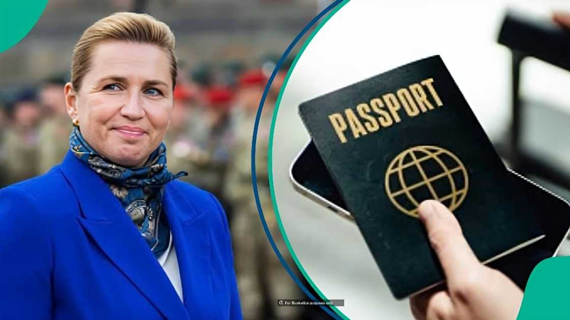 Denmark: 7 types of social benefits that could affect foreigners’ family visa applications