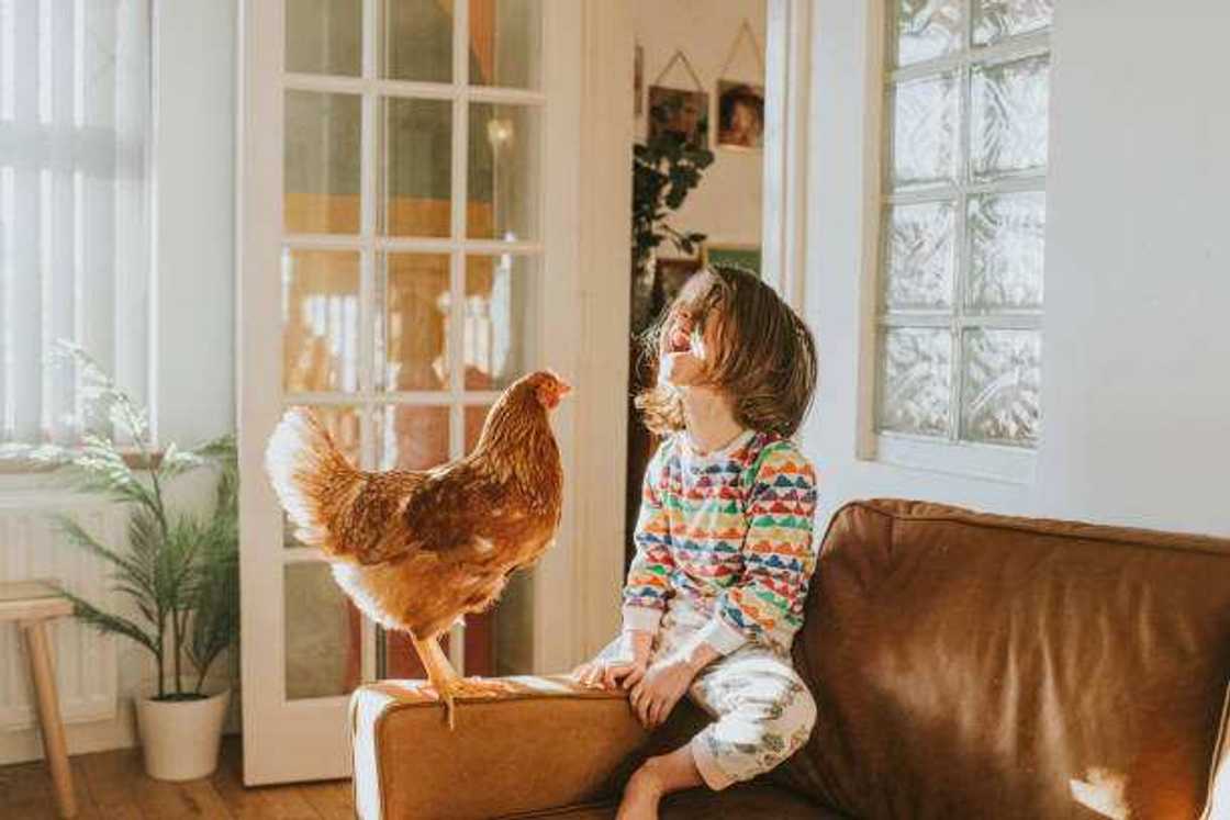 Des blagues rigolotes pour les enfants Des blagues rigolotes pour les enfants