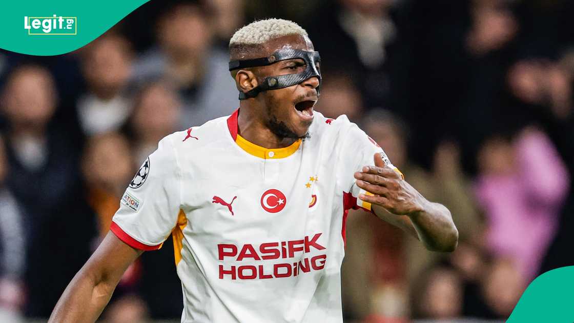 Victor Osimhen, Galatasaray, Lille, UEFA Champions League z France. Victor Osimhen, Galatasaray, Lille, UEFA Champions League z France.