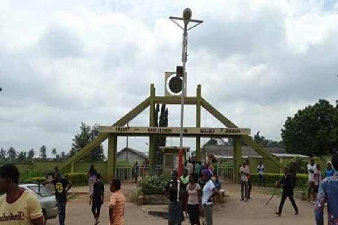 Yan daba sun shiga kwalejin FECA a Ondo. Yan daba sun shiga kwalejin FECA a Ondo.