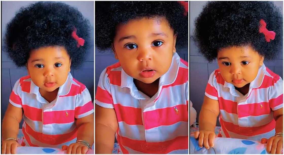 Photos of a beautiful baby with dark natural hair. Photos of a beautiful baby with dark natural hair.