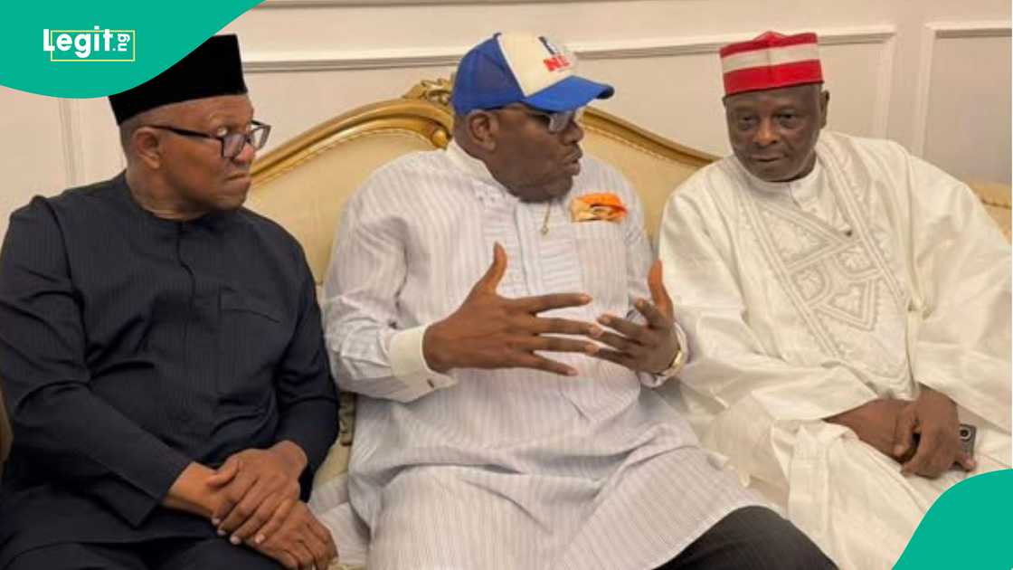 Peter Obi, Kwankwaso formally join NDC