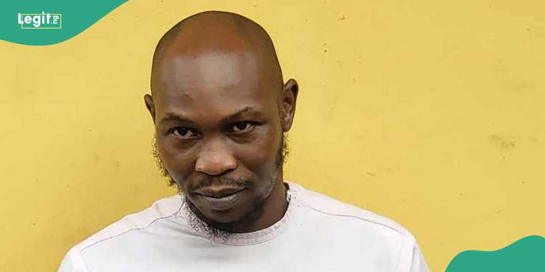 Seun Kuti says Nigerian police are the biggest group of kidnappers in the country Seun Kuti says Nigerian police are the biggest group of kidnappers in the country