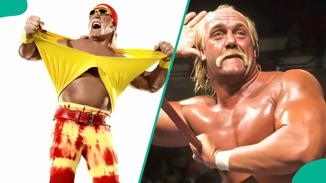 Clearwater Police Department finishes its comprehensive probe into the death of wrestling star Hulk Hogan and rules out any foul play