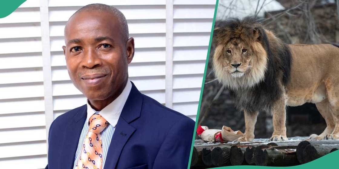 Olabode Olawuyi/Olabode Olawuyi lion/Olabode Olawuyi oau Olabode Olawuyi/Olabode Olawuyi lion/Olabode Olawuyi oau