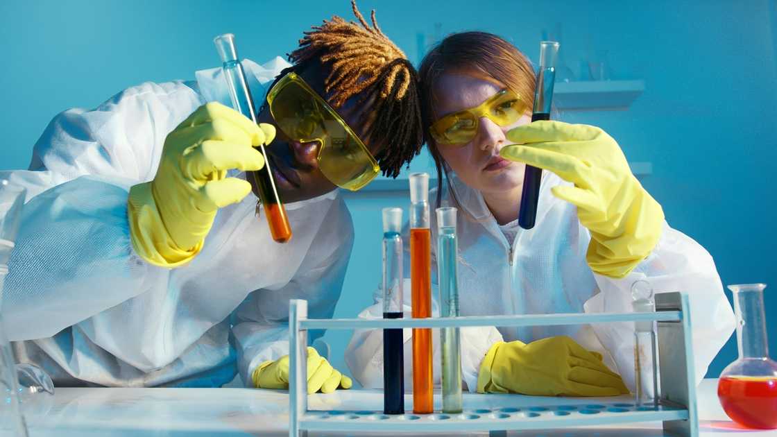 A man and a woman are looking at test tubes in a lab