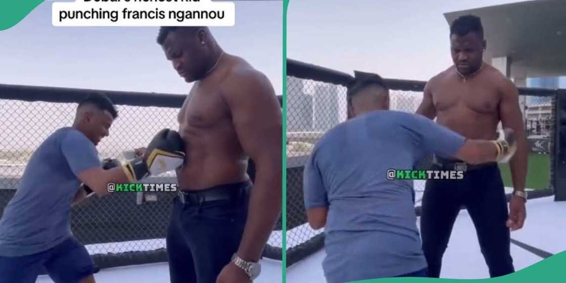 Video as Dubai man, Money Kicks repeatedly turns Francis Ngannou's stomach to punching bag Video as Dubai man, Money Kicks repeatedly turns Francis Ngannou's stomach to punching bag