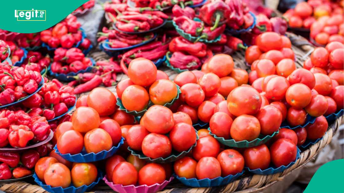 Traders quote new pepper, tomato basket prices Traders quote new pepper, tomato basket prices