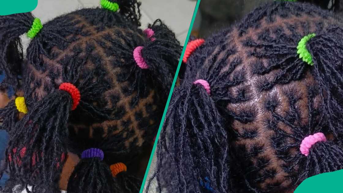 Sisterlocks in ponytails held by multi-coloured scrunchies Sisterlocks in ponytails held by multi-coloured scrunchies