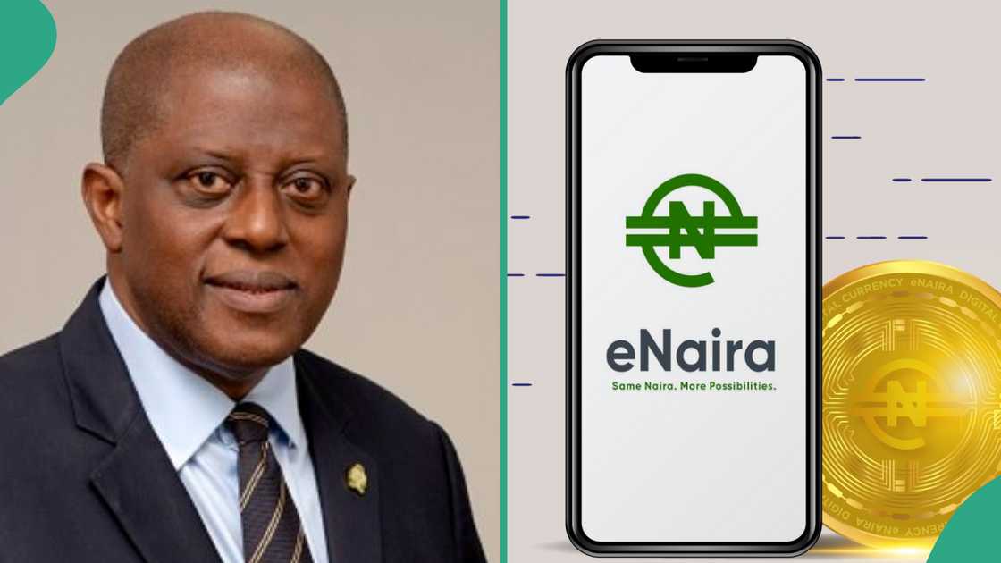 eNaira recovers, rises in value in 2024