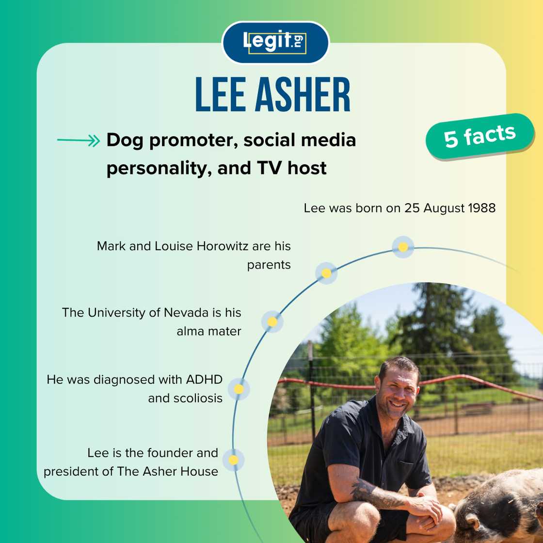 Top 5 facts about Lee Asher Top 5 facts about Lee Asher