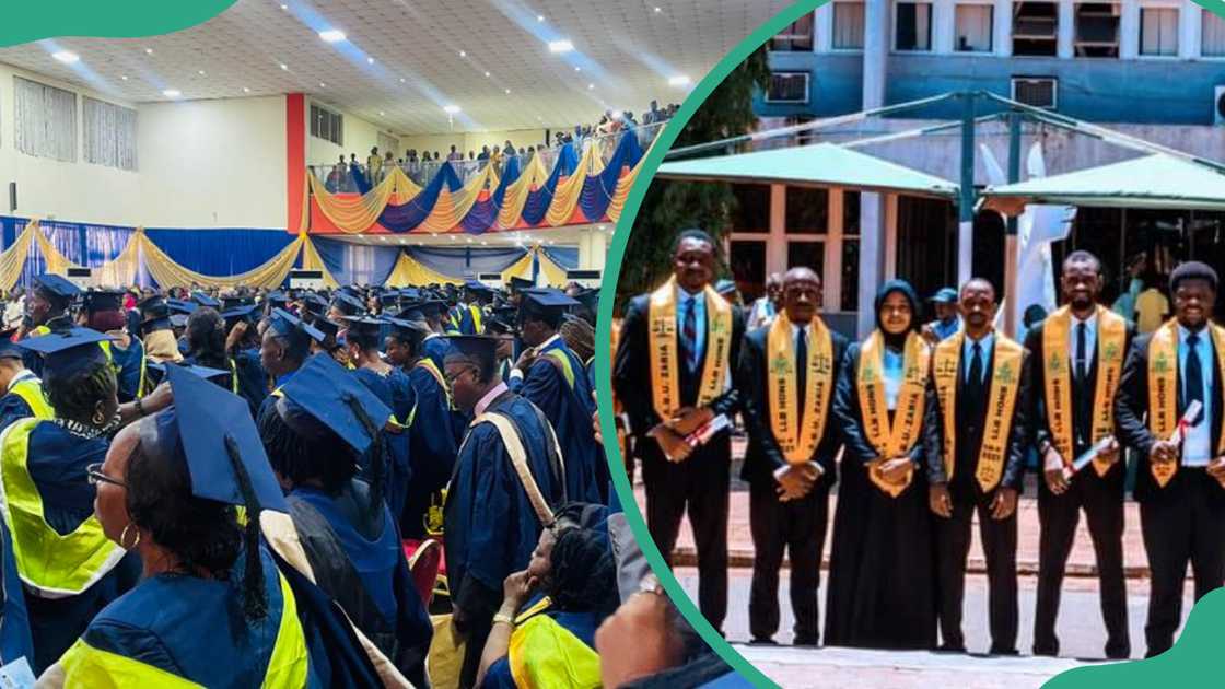 University of Ibadan and Ahmadu Bello University graduates University of Ibadan and Ahmadu Bello University graduates