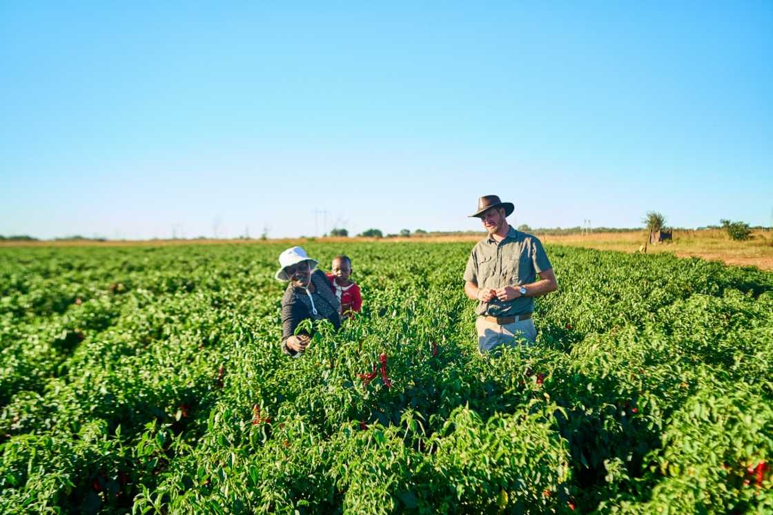Miriam Mupambawashe and Daniel Burger are farmers and neighbours in Zimbabwe's Midlands province Miriam Mupambawashe and Daniel Burger are farmers and neighbours in Zimbabwe's Midlands province