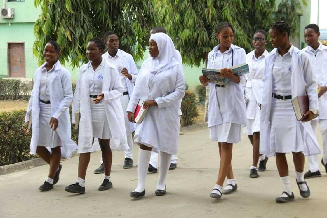 Delta Careers College: Shaping Futures and Fostering Excellence in Nigerian Education Delta Careers College: Shaping Futures and Fostering Excellence in Nigerian Education