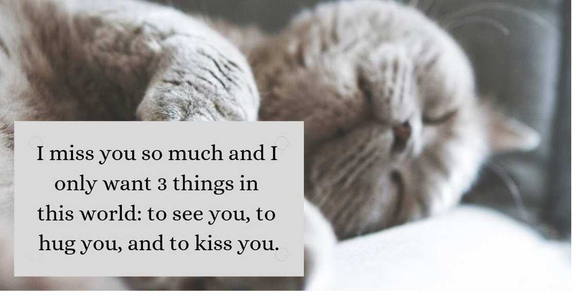 Love you messages Love you messages