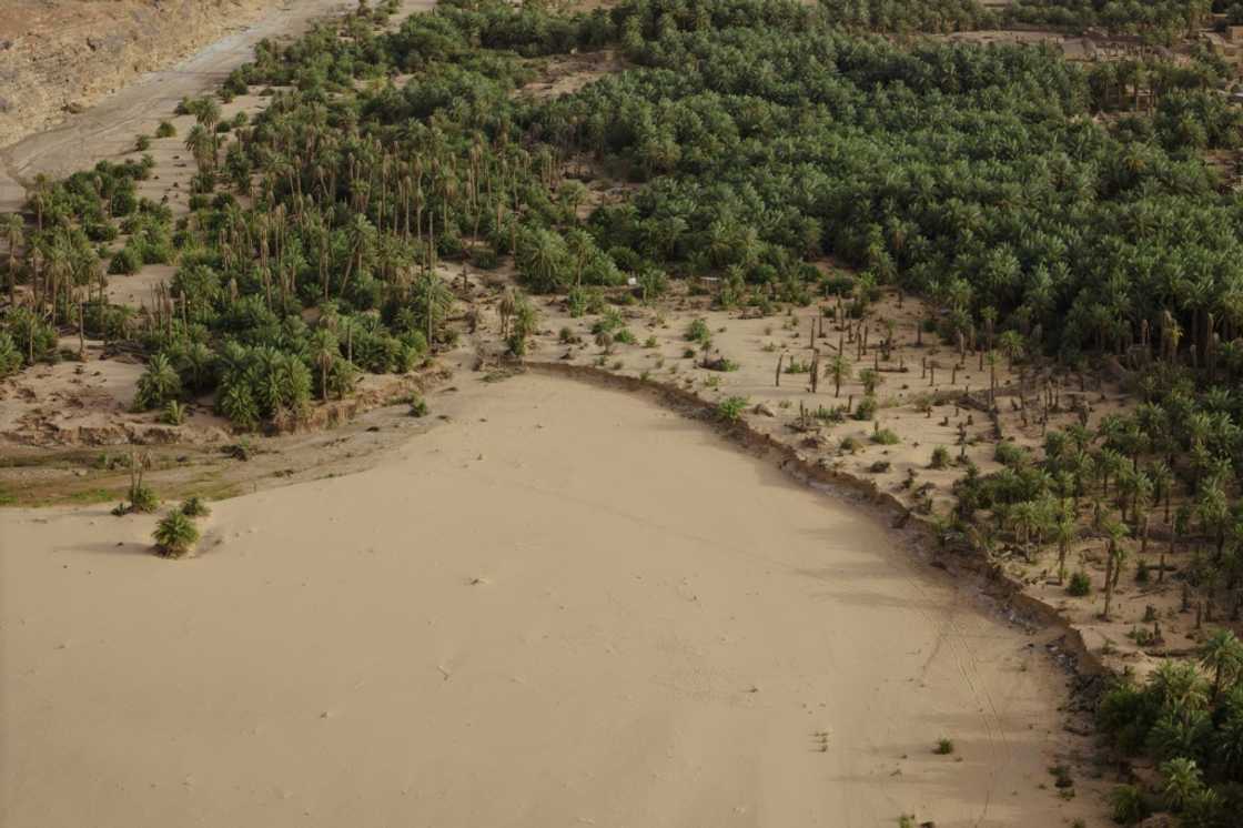 Massive flooding in M'Heiret two years ago devastated the village's palm trees Massive flooding in M'Heiret two years ago devastated the village's palm trees