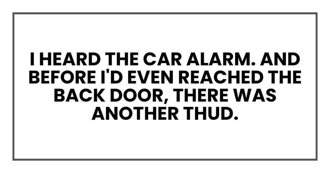 I heard the car alarm. And before I'd even reached the back door, there was another thud. I heard the car alarm. And before I'd even reached the back door, there was another thud.