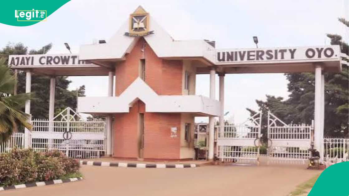 Celebrating as Access Bank employee achieves first-class degree at Ajayi Crowther University, flaunts his result