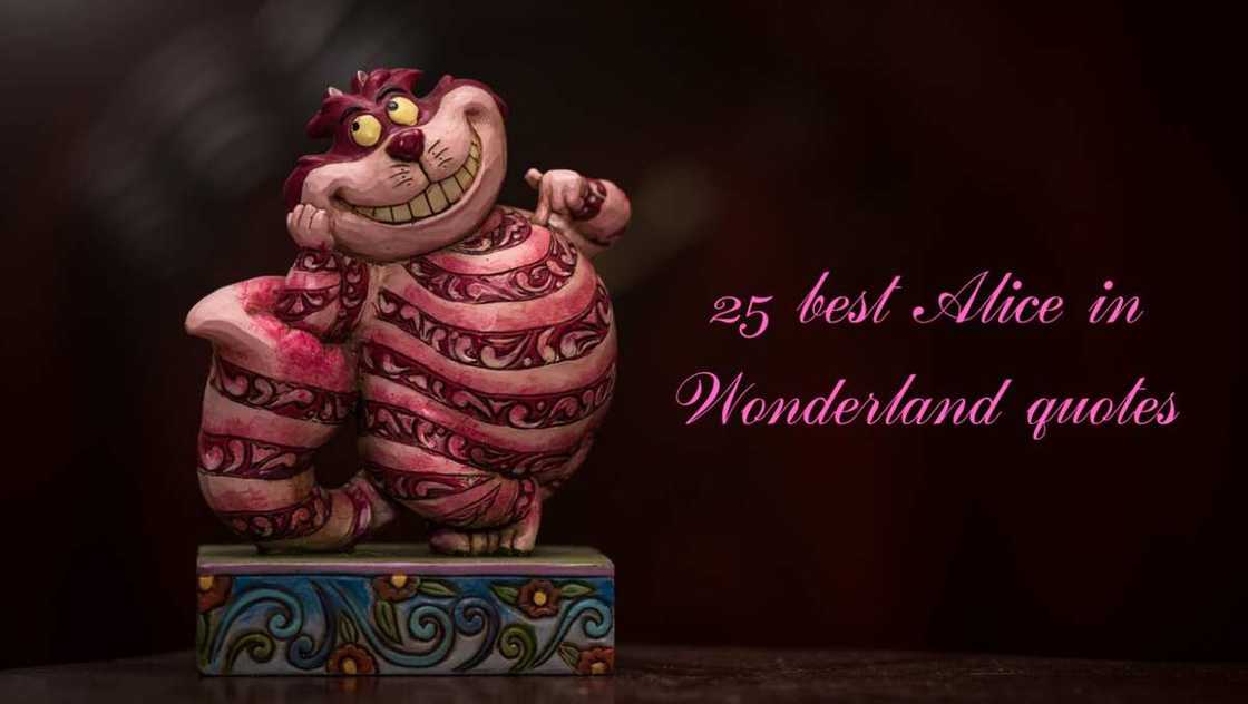 Quotes from Alice in Wonderland Quotes from Alice in Wonderland