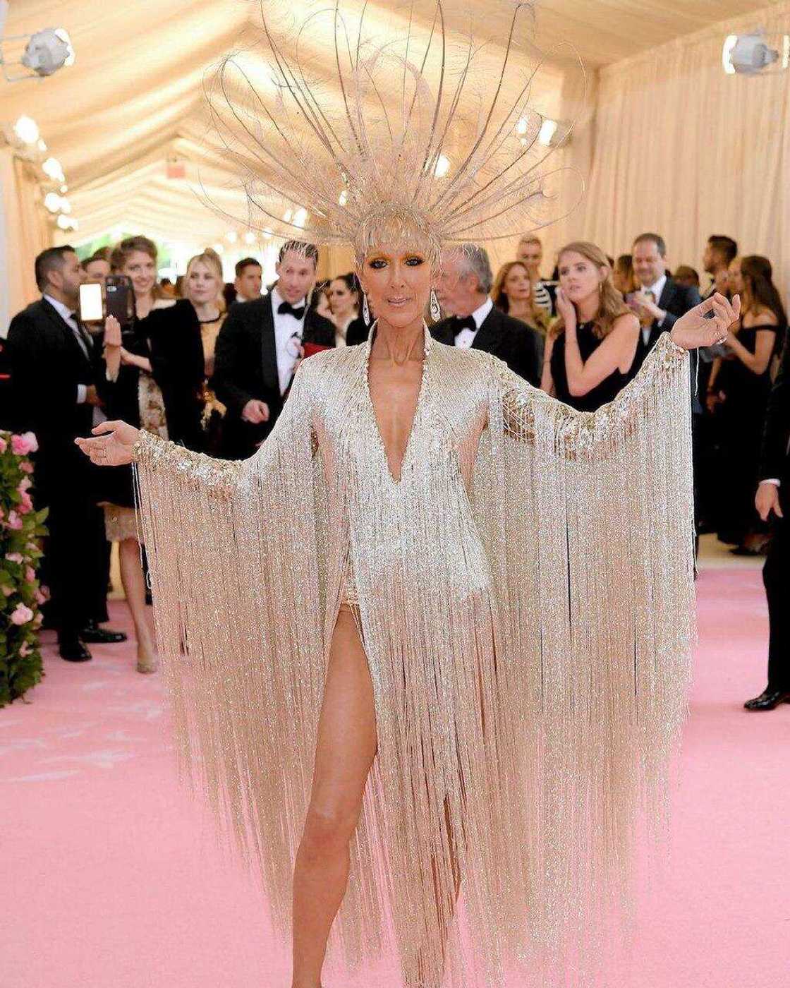 Define campy Define campy