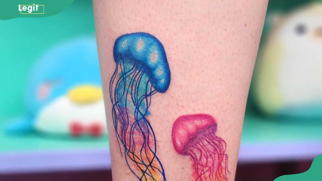 Two cute jellyfish tattoos Two cute jellyfish tattoos