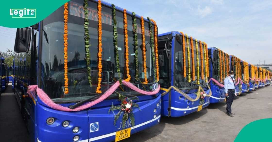 CNG buses, Hyundai vehicles