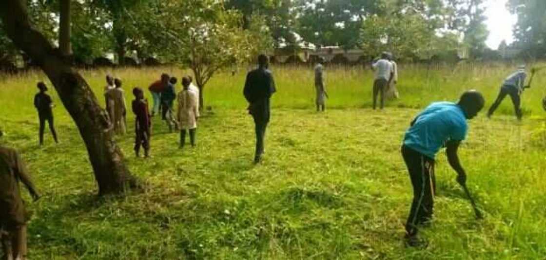 Christians join Muslims to cut grass in Kaduna Christians join Muslims to cut grass in Kaduna