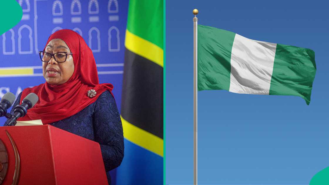 Read how Tanzania removed Nigerians from referred visa category