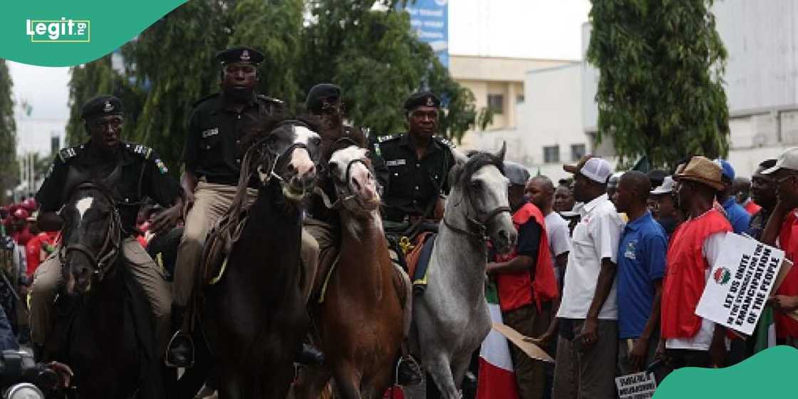 An kashe Sarki An kashe Sarki