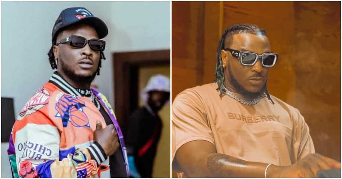 Photos of Peruzzi Photos of Peruzzi