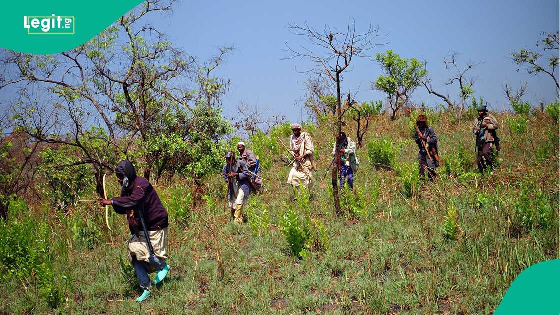 The South-West kidnapping problem may be driven by networks many people are not noticing yet