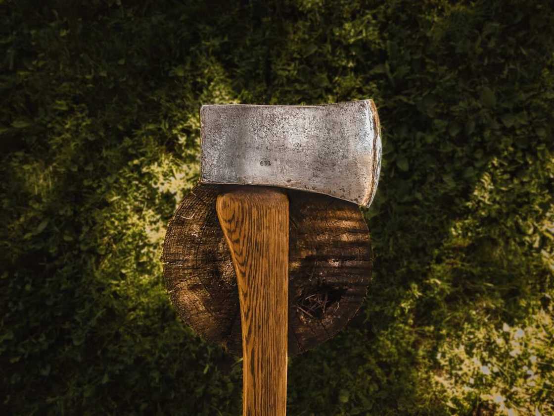 farm tools names farm tools names