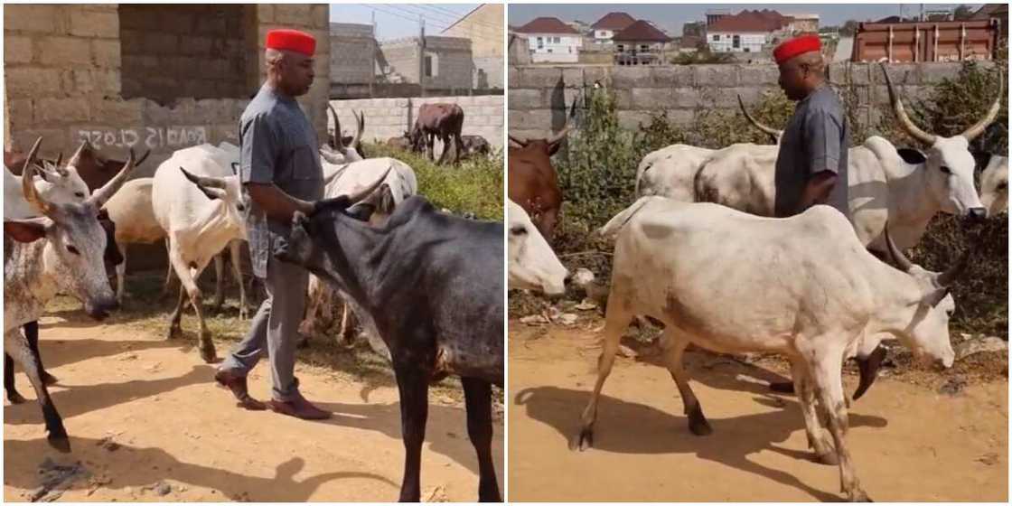 Kenneth Okonkwo Kenneth Okonkwo