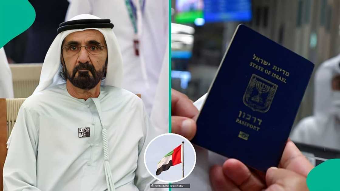 UAE reveals 1 occupation foreigners can get free permit for, mentions who can apply UAE reveals 1 occupation foreigners can get free permit for, mentions who can apply