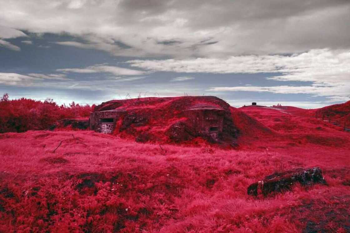 Ku kashe kwalkwatar Ido: Hotunan filin dagar da aka gwabza yakin duniya na daya Ku kashe kwalkwatar Ido: Hotunan filin dagar da aka gwabza yakin duniya na daya
