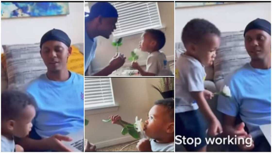 They used flowers as their mics. They used flowers as their mics.