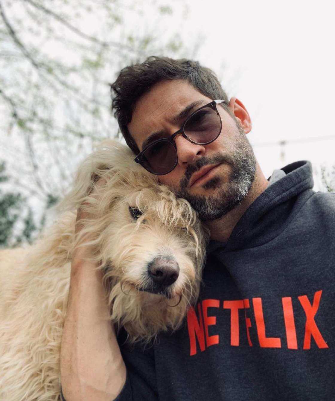 Lucifer Tom Ellis Lucifer Tom Ellis