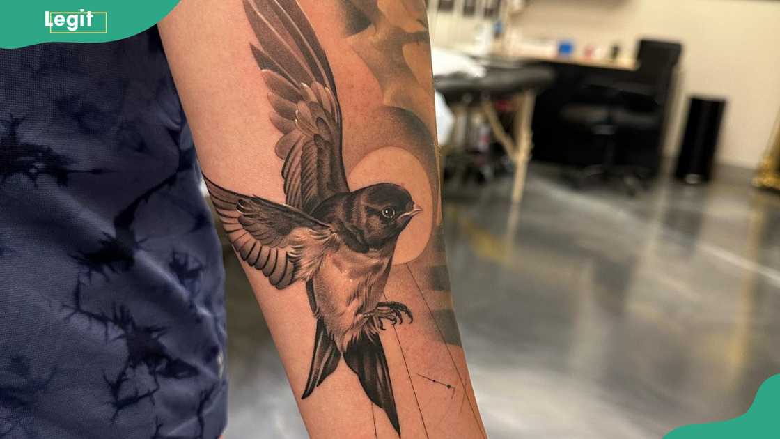 Bird tattoo