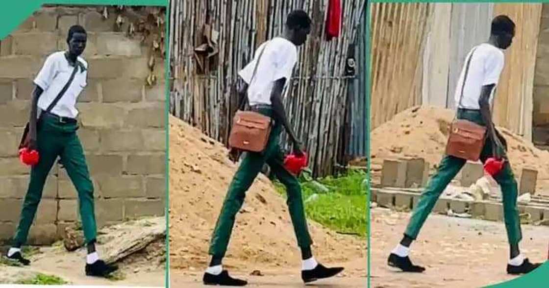 Dogon Yaro Dogon Yaro