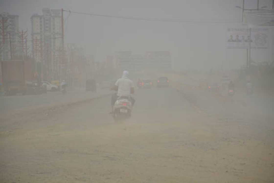 Babur na tafiya a cikin hazo Babur na tafiya a cikin hazo