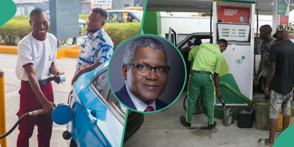 Nigerians hunt for cheap fuel at Dangote partner stations Nigerians hunt for cheap fuel at Dangote partner stations