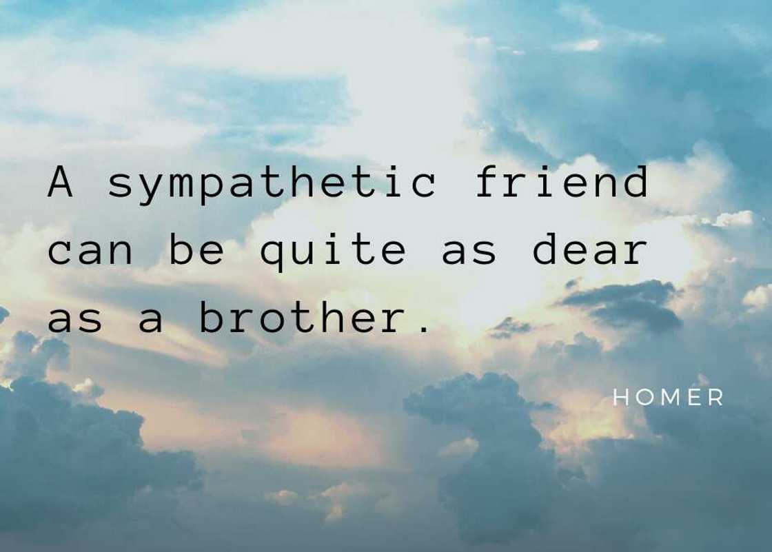 Top 10 heartfelt condolence SMS messages and sayings Top 10 heartfelt condolence SMS messages and sayings