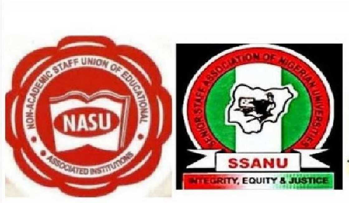 Da Duminsa: Tamkar ASUU, SSANU Da NASU Sun Gabatarwa FG Tsarin Biyan Albashi Da Suke So Da Duminsa: Tamkar ASUU, SSANU Da NASU Sun Gabatarwa FG Tsarin Biyan Albashi Da Suke So